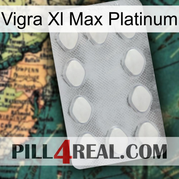 Vigra Xl Max Platinum 16.jpg